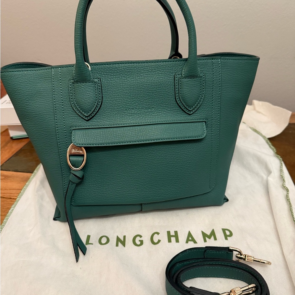 Longchamp Teal Mailbox Purse
